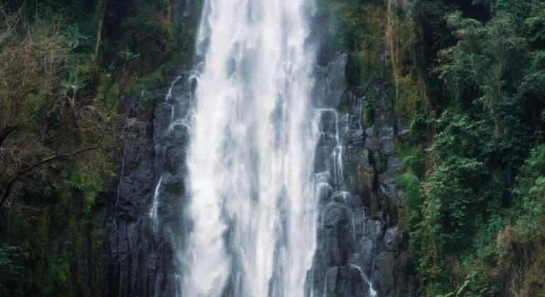 Moshi Safari Ventures (Passeios de um dia à volta de Moshi) Tanzânia — #11