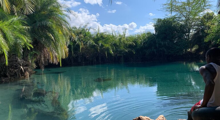 Moshi Safari Ventures (Passeios de um dia à volta de Moshi) Tanzânia — #18