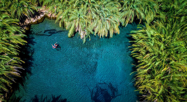 Moshi Safari Ventures (Passeios de um dia à volta de Moshi) Tanzânia — #20