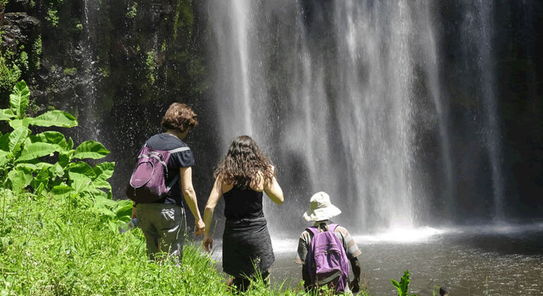 Moshi Safari Ventures (Passeios de um dia à volta de Moshi) Tanzânia — #28