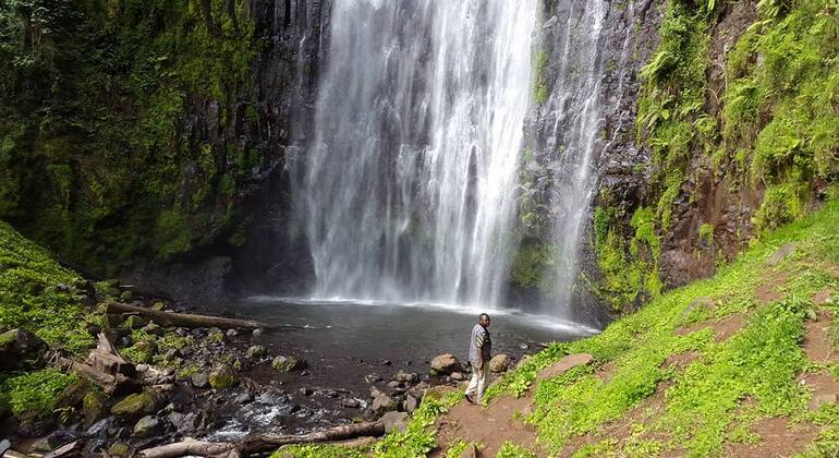 Moshi Safari Ventures (Passeios de um dia à volta de Moshi) Tanzânia — #29