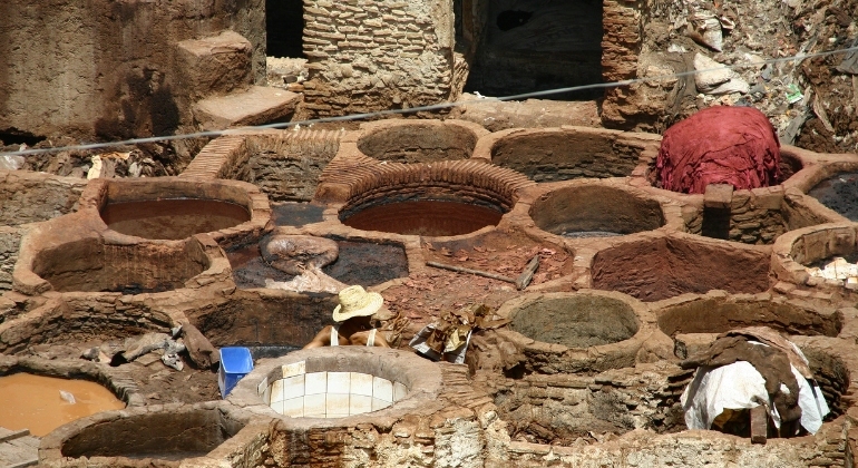 Tour a piedi di mezza giornata a Fez