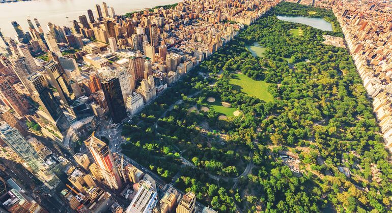 Central Park, Natural History of NYC & Free Entrance to Museums Provided by Fractal NYC
