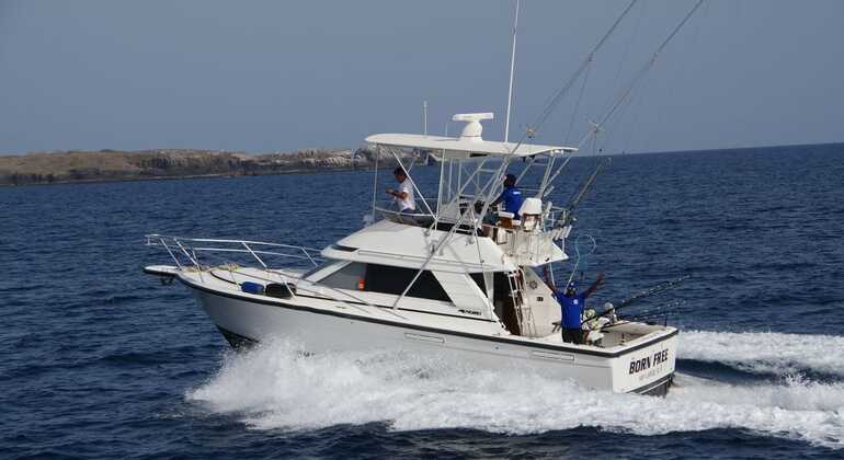 Sal: Pesca sportiva mezza giornata 4 ore, Cape Verde