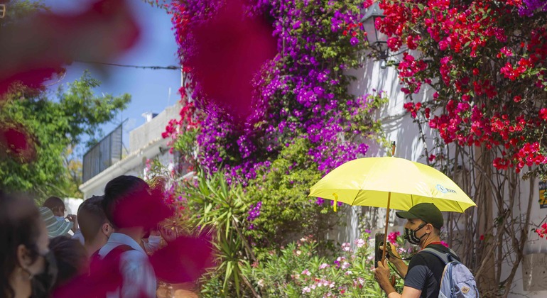 Ultimative Ibiza Free Tour Spanien &mdash; #9