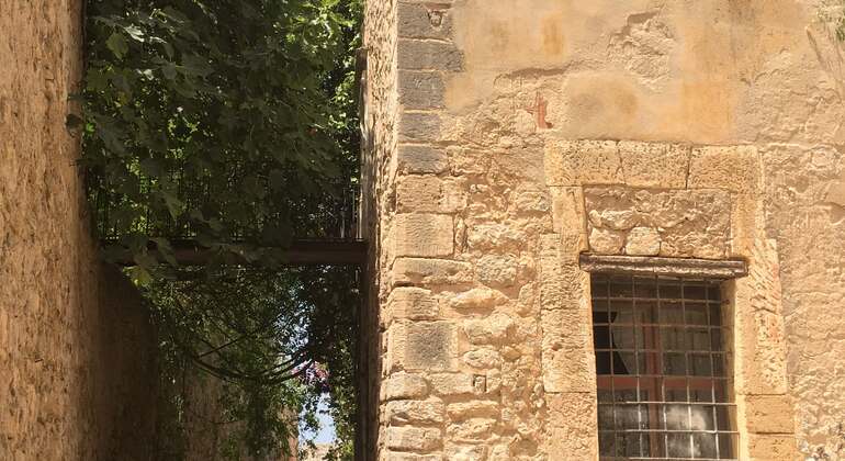 Ultimative Ibiza Free Tour Spanien &mdash; #28