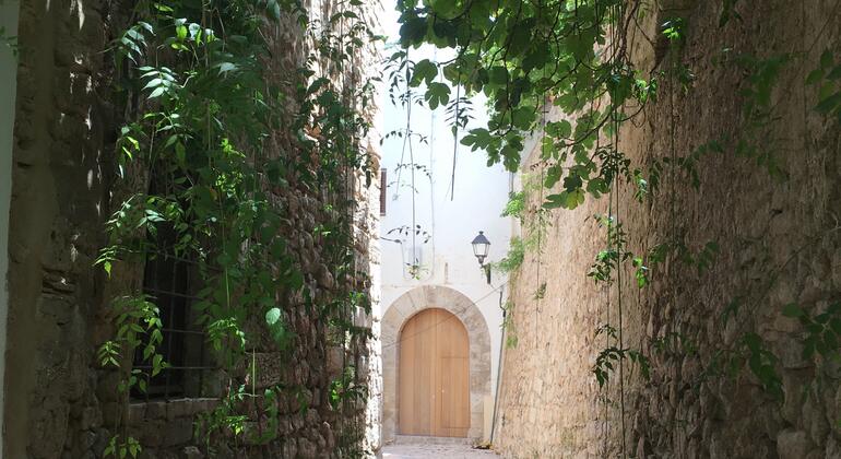 Ultimative Ibiza Free Tour Spanien &mdash; #31