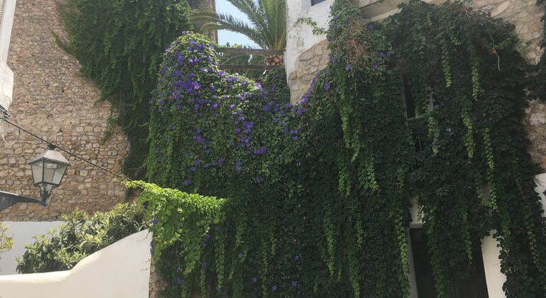 Ultimative Ibiza Free Tour Spanien &mdash; #32