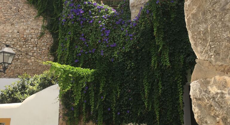 Ultimative Ibiza Free Tour Spanien &mdash; #38