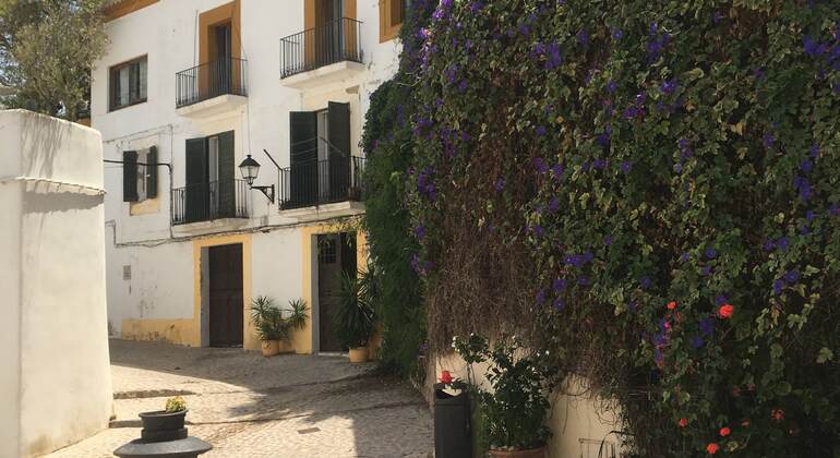 Ultimative Ibiza Free Tour Spanien &mdash; #40