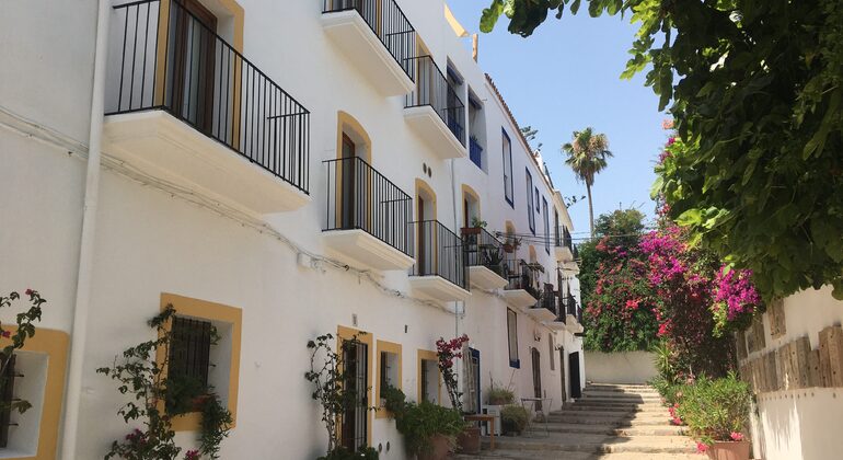 Ultimative Ibiza Free Tour Spanien &mdash; #43