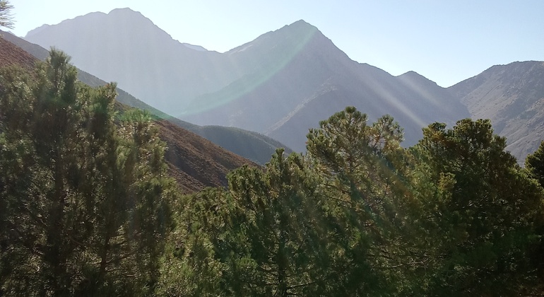 from-marrakech-two-days-atlas-mountains-berber-villages-es-3