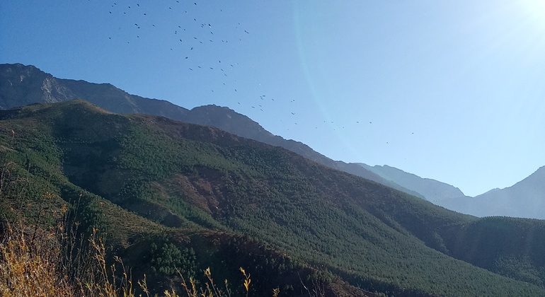 from-marrakech-two-days-atlas-mountains-berber-villages-es-4