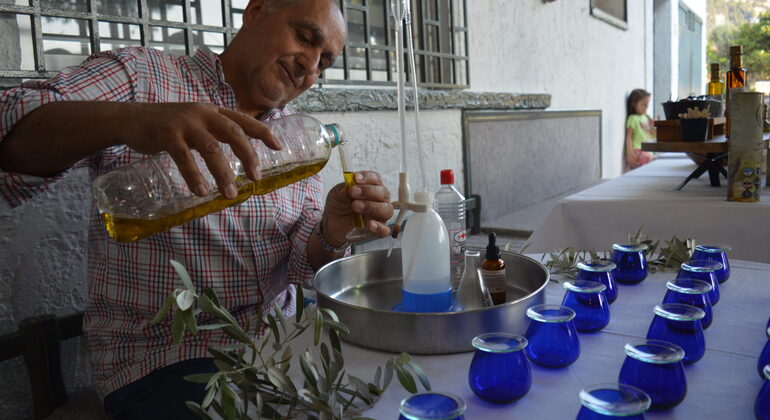 Dégustation d'huile d'olive et de vin à Rhodes, Greece
