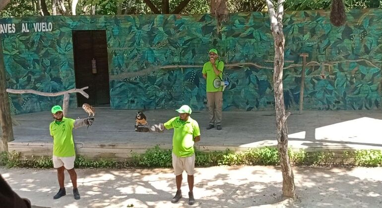 Excursão de 1 dia Baru Playa Blanca + Observação de aves nacionais Colômbia — #7