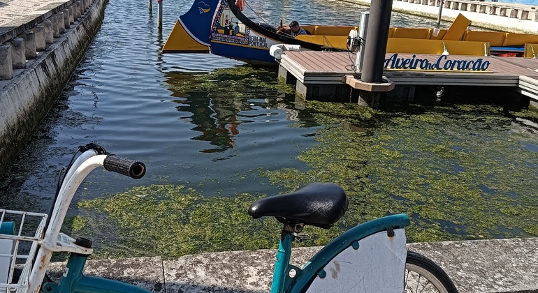 Aveiro Bike Tour Portugal &mdash; #43