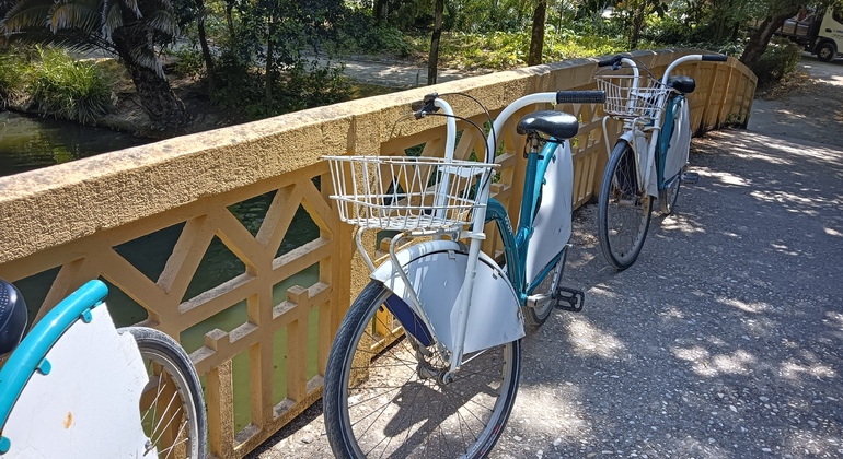 Aveiro Bike Tour Portugal &mdash; #45