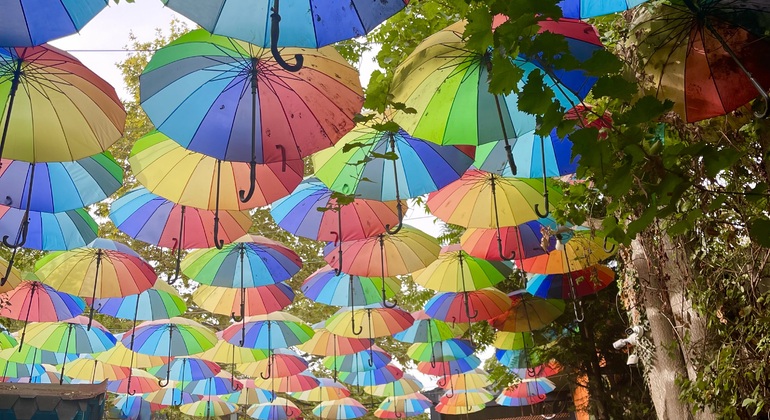 Free Tour Instanbul: Balat y Fener, Minorías y Casa De Colores