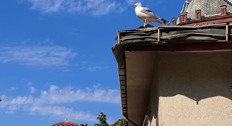 balat-y-fener-walking-tour-es-9