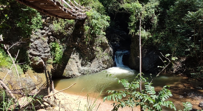 Hiking Tour to Las Palmas Waterfall Provided by Denis Artemov