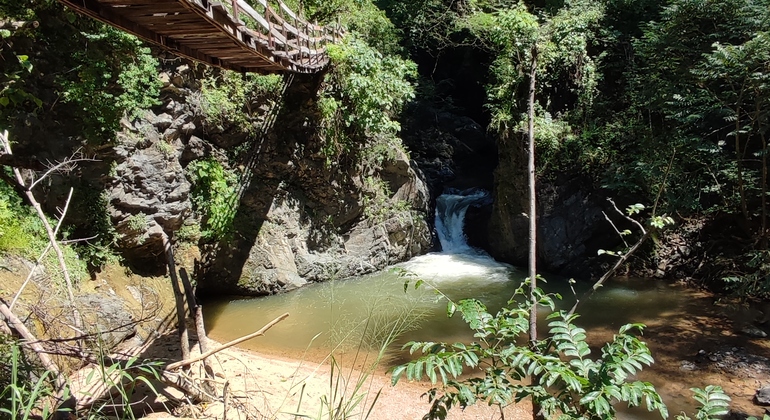 Excursión a la Cascada de Las Palmas Operado por Denis Artemov