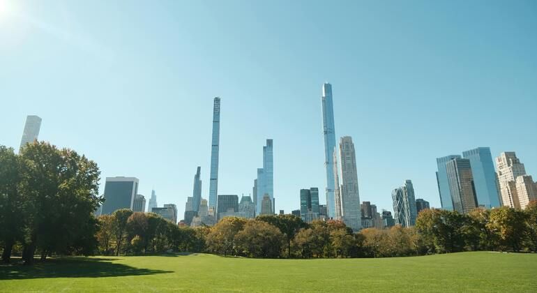 Connettersi ed elevare la propria energia: yoga all'aperto a Central Park Fornito da Walking Group 