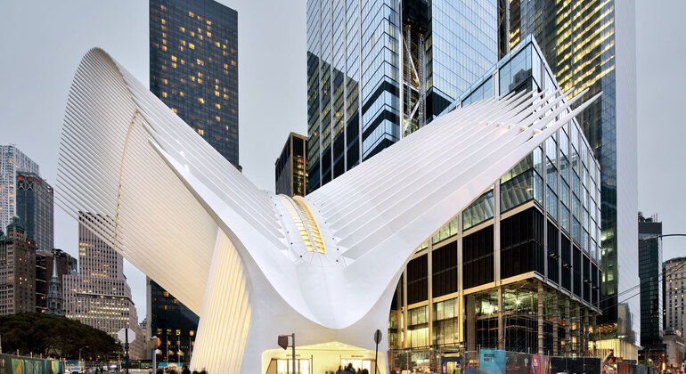 NY Essentials: Dumbo Tour - Brooklyn Bridge to the Oculus Provided by Walking Group 