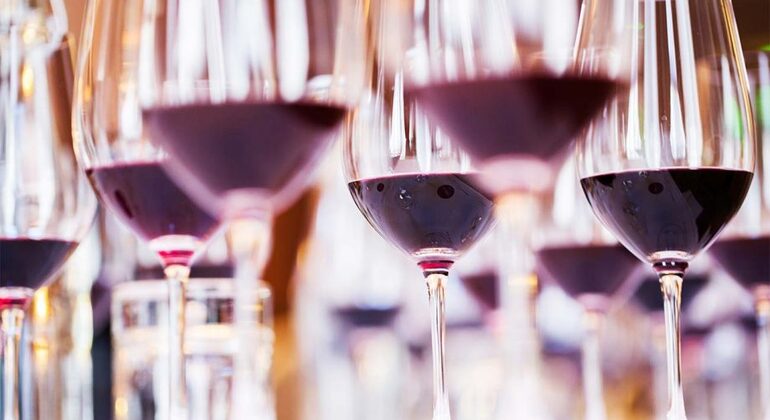 Visite des vignobles avec déjeuner 5 dégustations de vin 2 en-cas et curiosités Fournie par George Dushenko