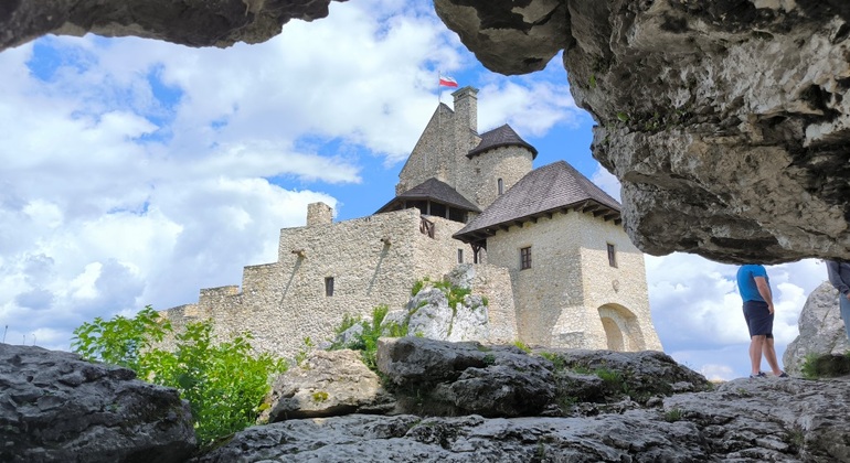 Visits to Medieval Castles private VIP tour Poland &mdash; #3