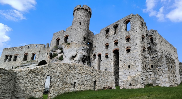 Visits to Medieval Castles private VIP tour Poland &mdash; #4