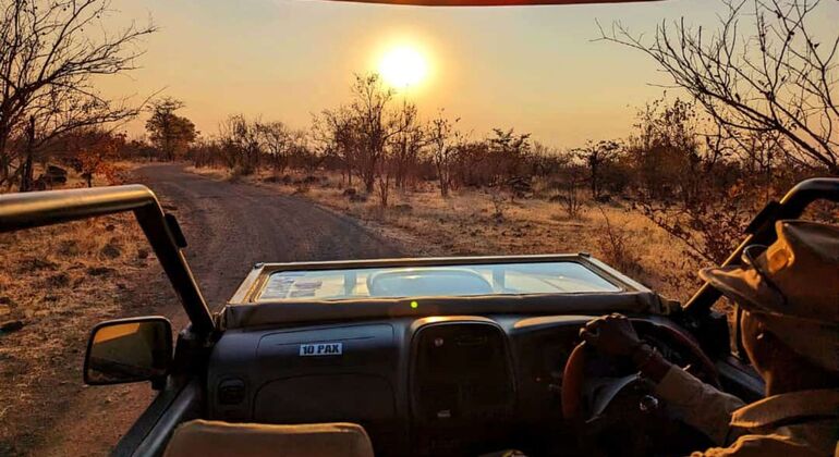 Victoriafälle: Safari-Pirschfahrt im Nationalpark, Zimbabwe