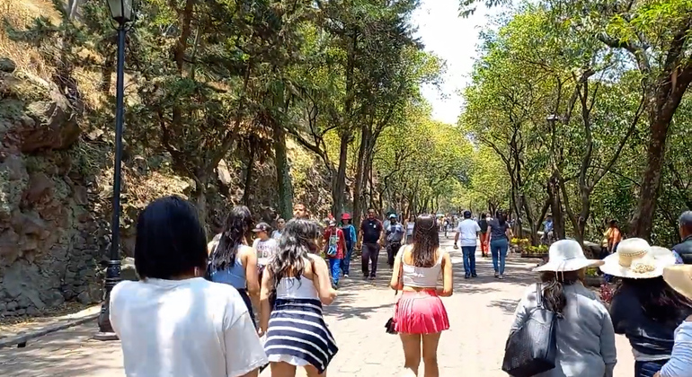 Chapultepec Schloss Tour: Kaiserpalast von Maximilian von Habsburg Mexiko — #5