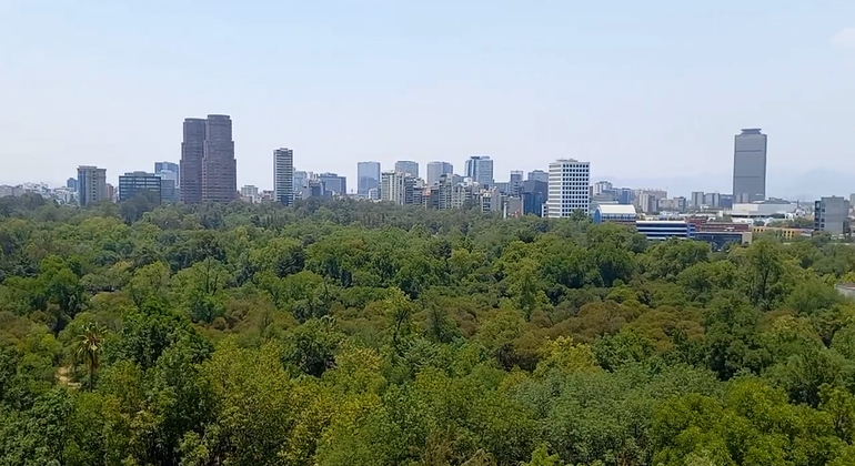 Chapultepec Schloss Tour: Kaiserpalast von Maximilian von Habsburg Mexiko — #16