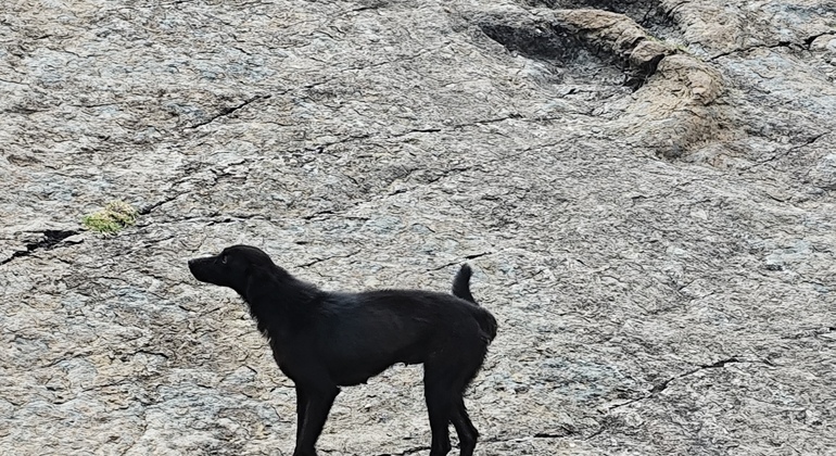 Wunderschönes Trekking zum Inka-Pfad, Maragua-Krater, Dinosaurier-Fußabdrücke Bolivien &mdash; #21