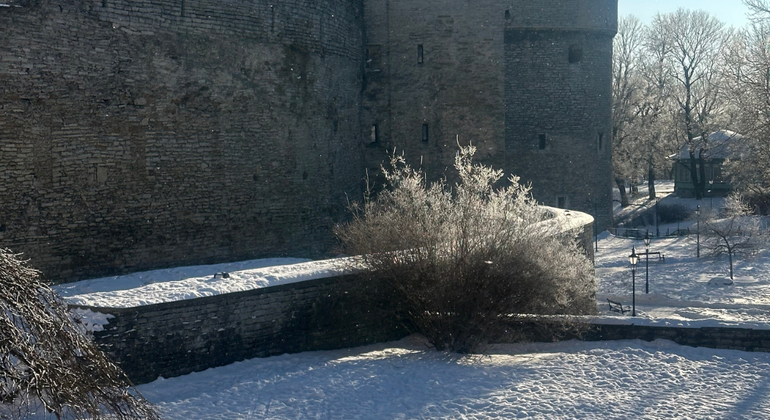 Tallinn in breve Tour basato sulle donazioni Estonia &mdash; #22