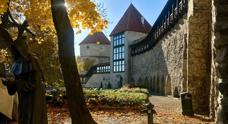 Tallinn in breve Tour basato sulle donazioni Estonia &mdash; #25