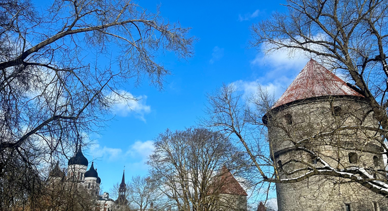 Tallinn in breve Tour basato sulle donazioni Estonia &mdash; #26