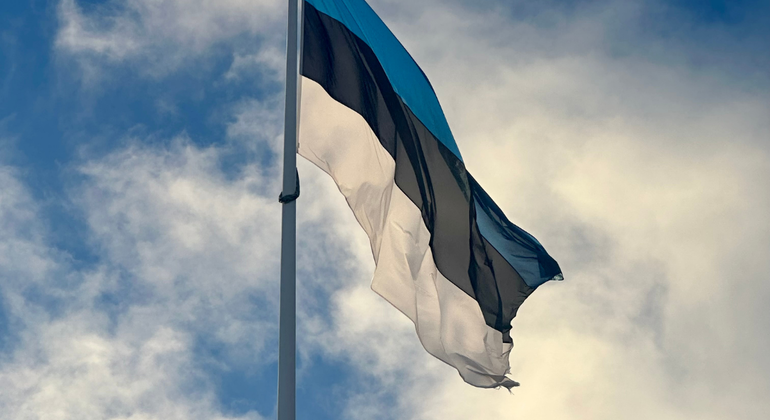 Tallinn in breve Tour basato sulle donazioni Estonia &mdash; #27