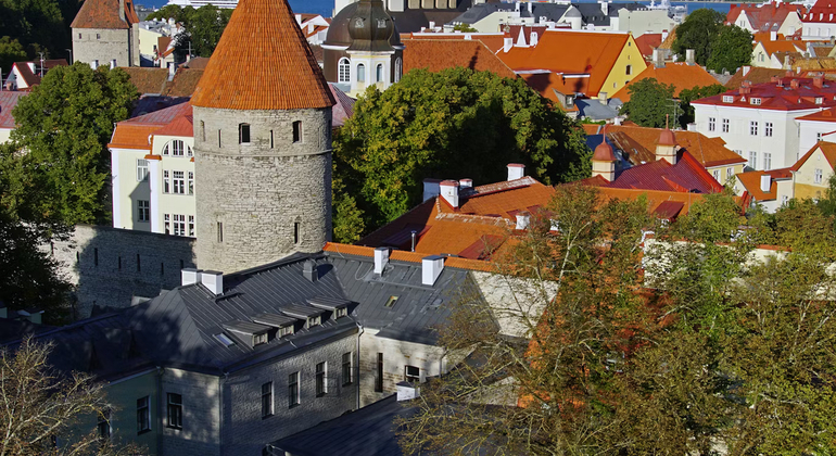 Tallinn in breve Tour basato sulle donazioni Estonia &mdash; #30