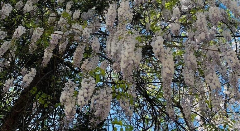 tirana-culture-tour-en-3