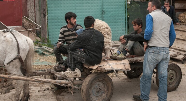 Shutka: La capitale rom del mondo Macedonia — #5