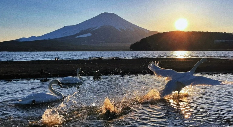 Berg Fuji: Double Lake Swan Hot Springs Vier Jahreszeiten Slow Travel Bereitgestellt von JAPAN ONE DAY TOUR