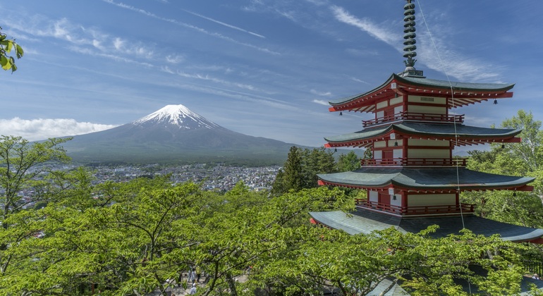 Linha A da rota clássica das atracções do Monte Fuji Organizado por JAPAN ONE DAY TOUR