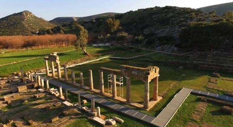 Excursión diaria en tren y bicicleta al humedal y al antiguo templo de Artemide Operado por efi politis