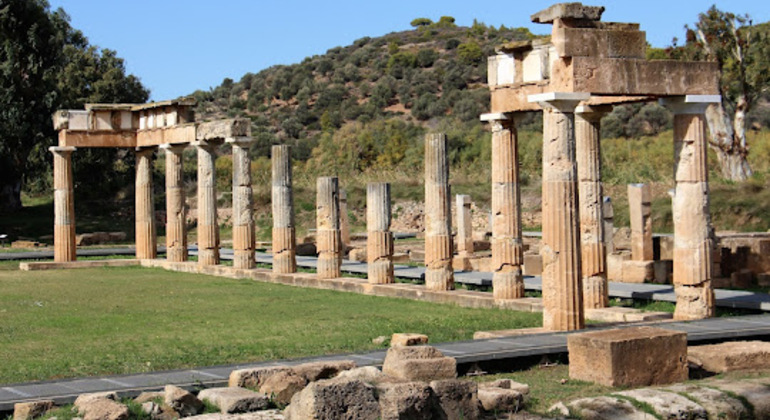 daily-train-cycle-tour-to-wetland-ancient-temple-of-artemide-en-1