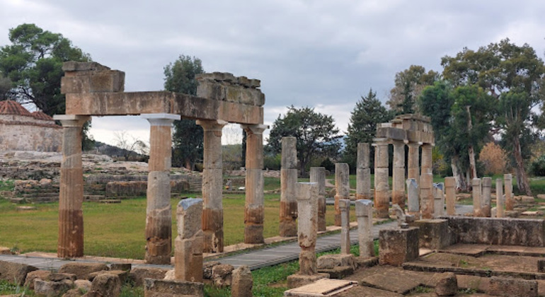 daily-train-cycle-tour-to-wetland-ancient-temple-of-artemide-en-3