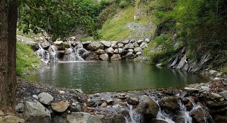 Sapanca - Masukiye Excursão de dia inteiro com almoço Turquia — #8