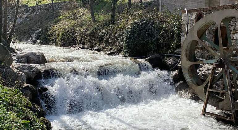Sapanca - Masukiye Excursão de dia inteiro com almoço Turquia — #10