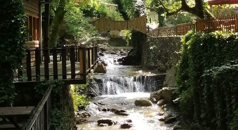 Sapanca - Masukiye Excursão de dia inteiro com almoço Turquia — #12
