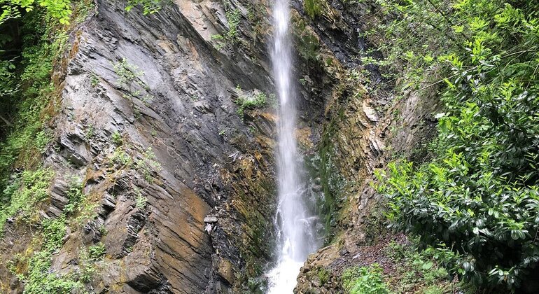 Sapanca - Masukiye Excursão de dia inteiro com almoço Turquia — #15